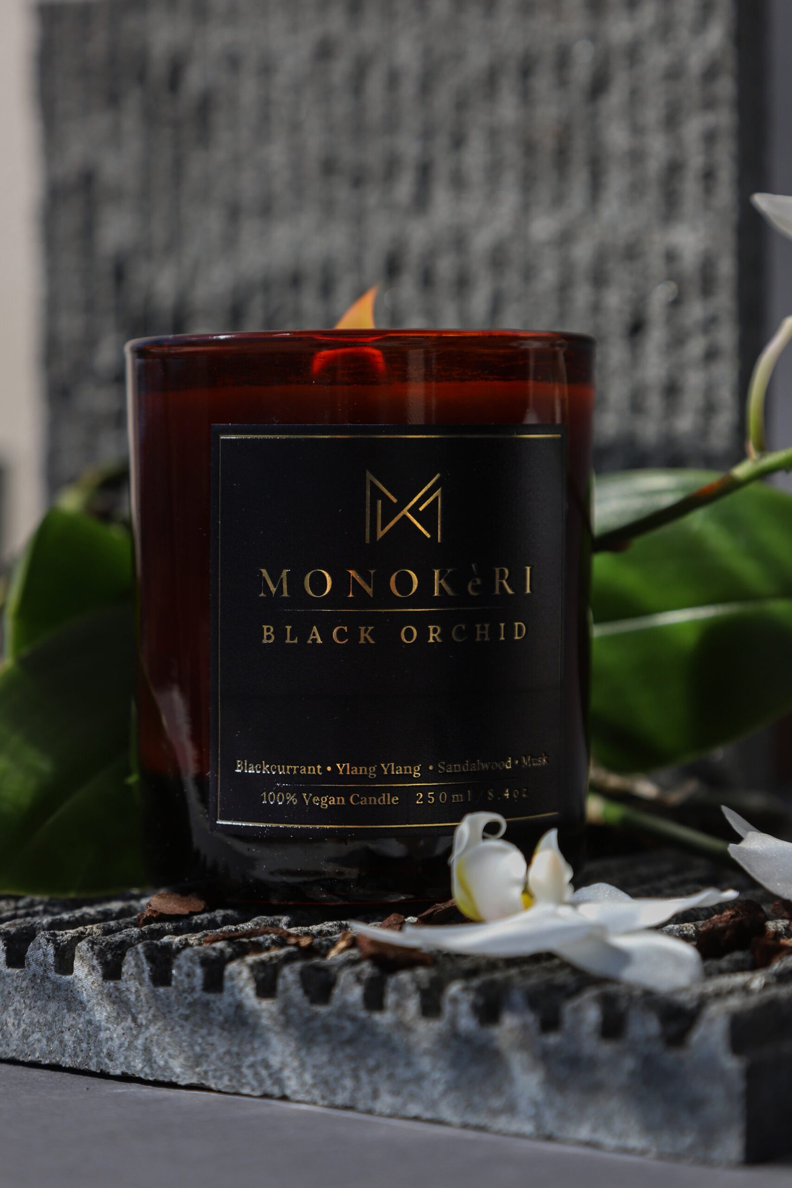 Black Orchid - Image 2