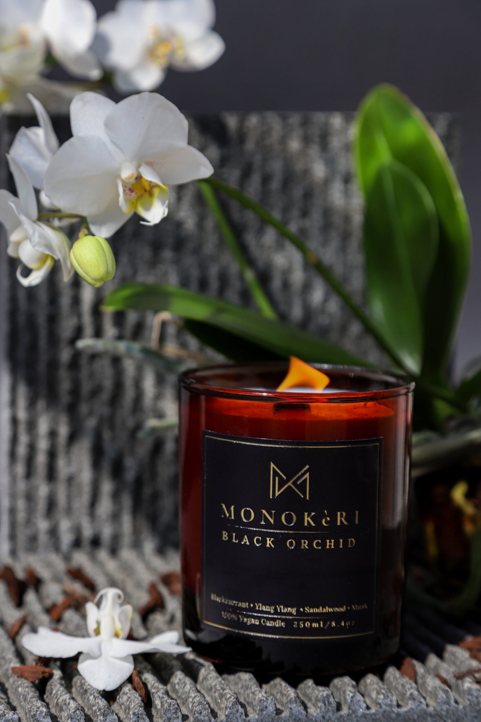 Black Orchid - Image 4